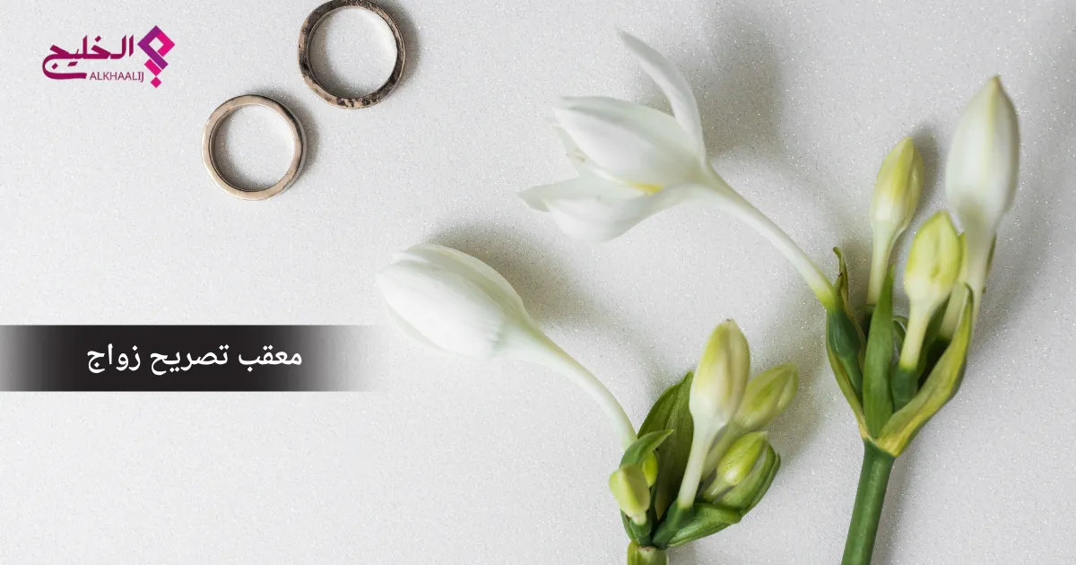 معقب تصريح زواج